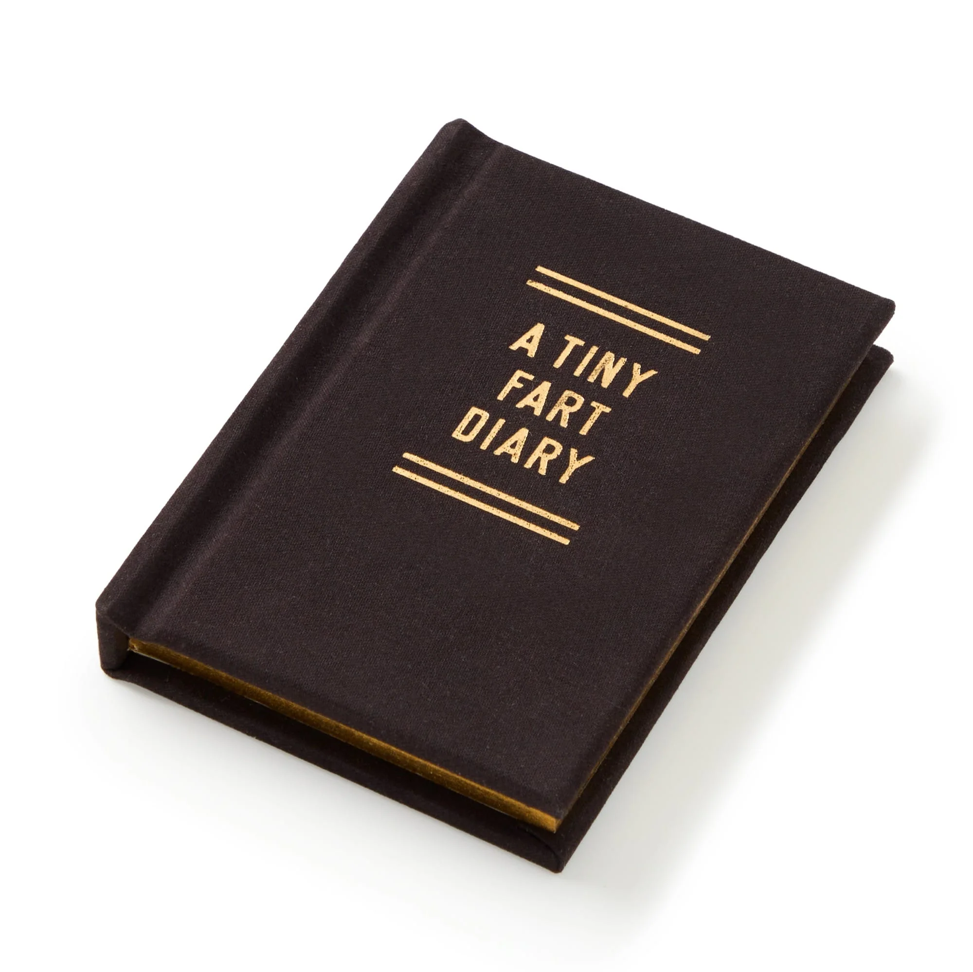 A Tiny Fart Diary - Image 3