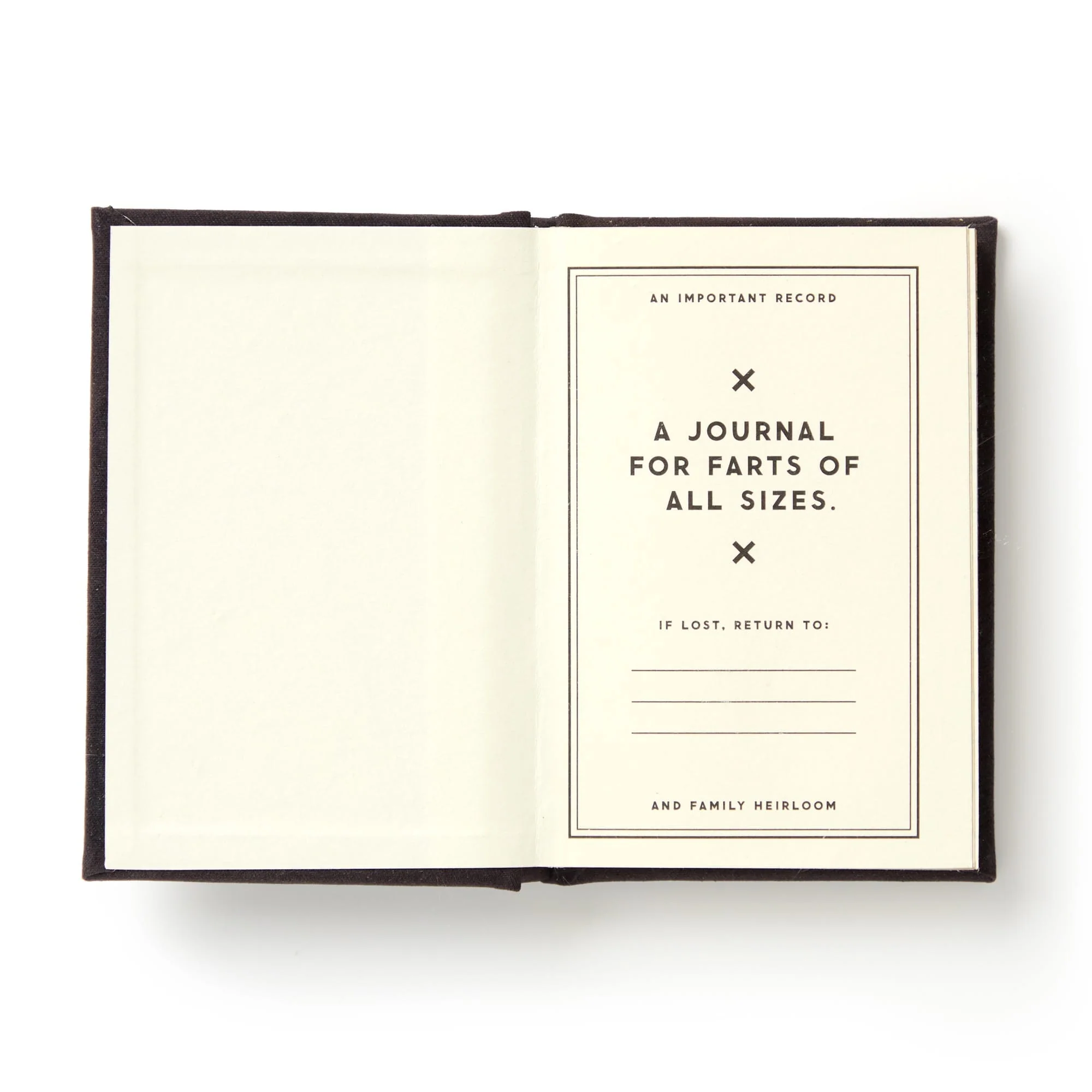 A Tiny Fart Diary - Image 5