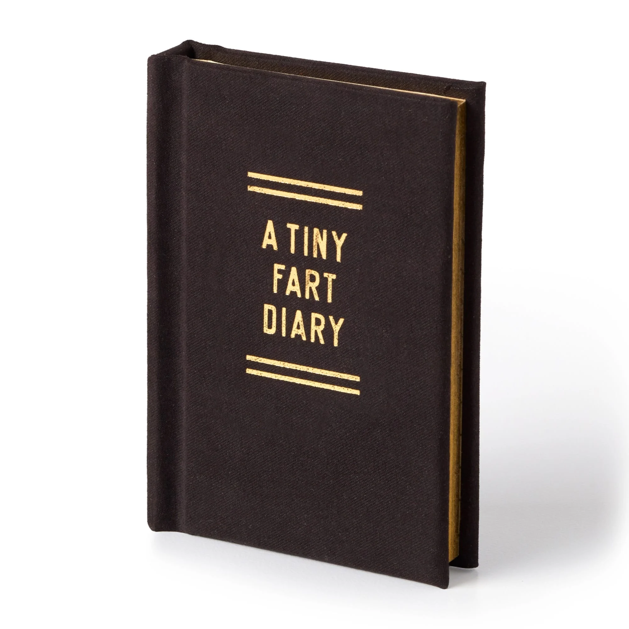 A Tiny Fart Diary - Image 9