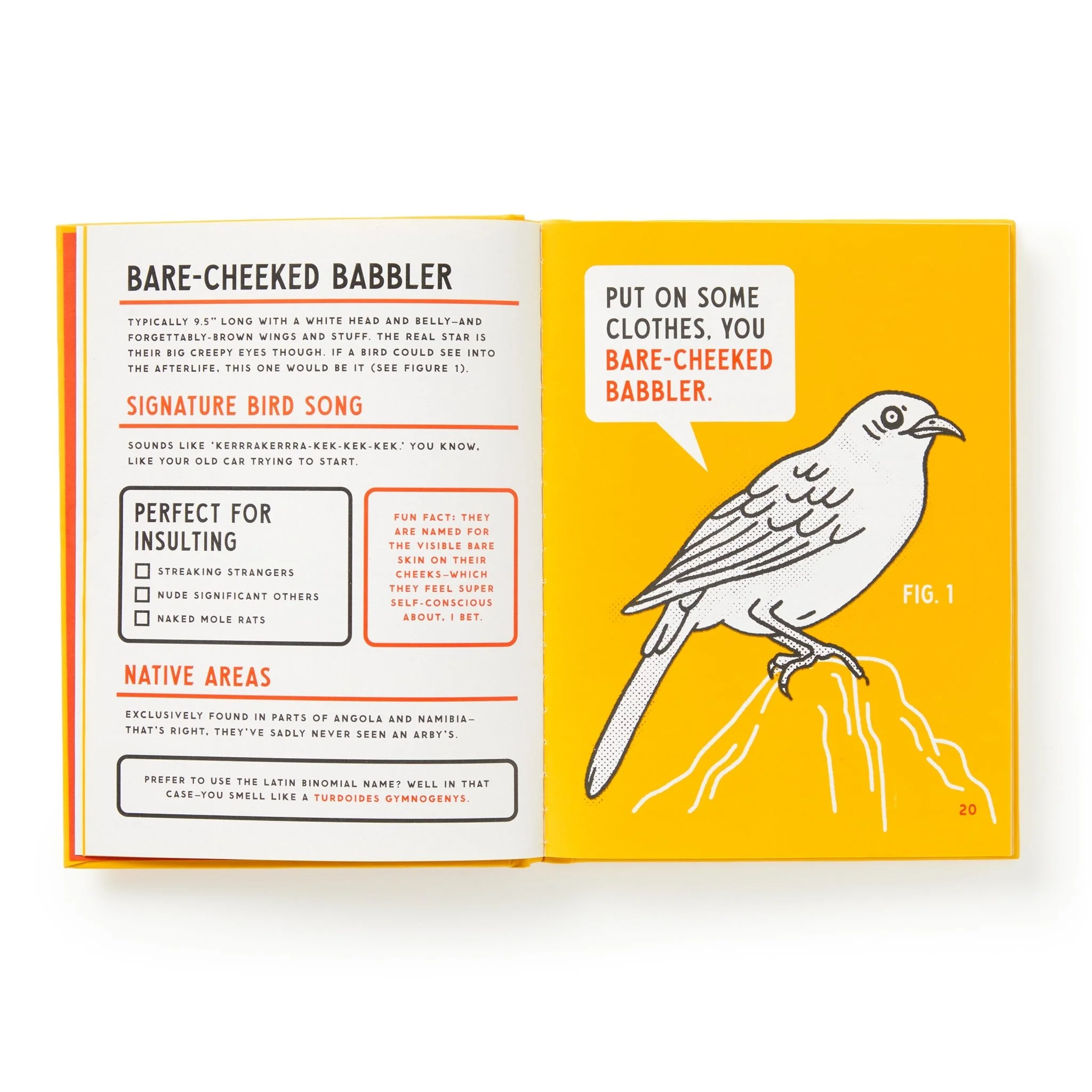 An Illustrated Guide to Birds that Sound like Insults - Image 7
